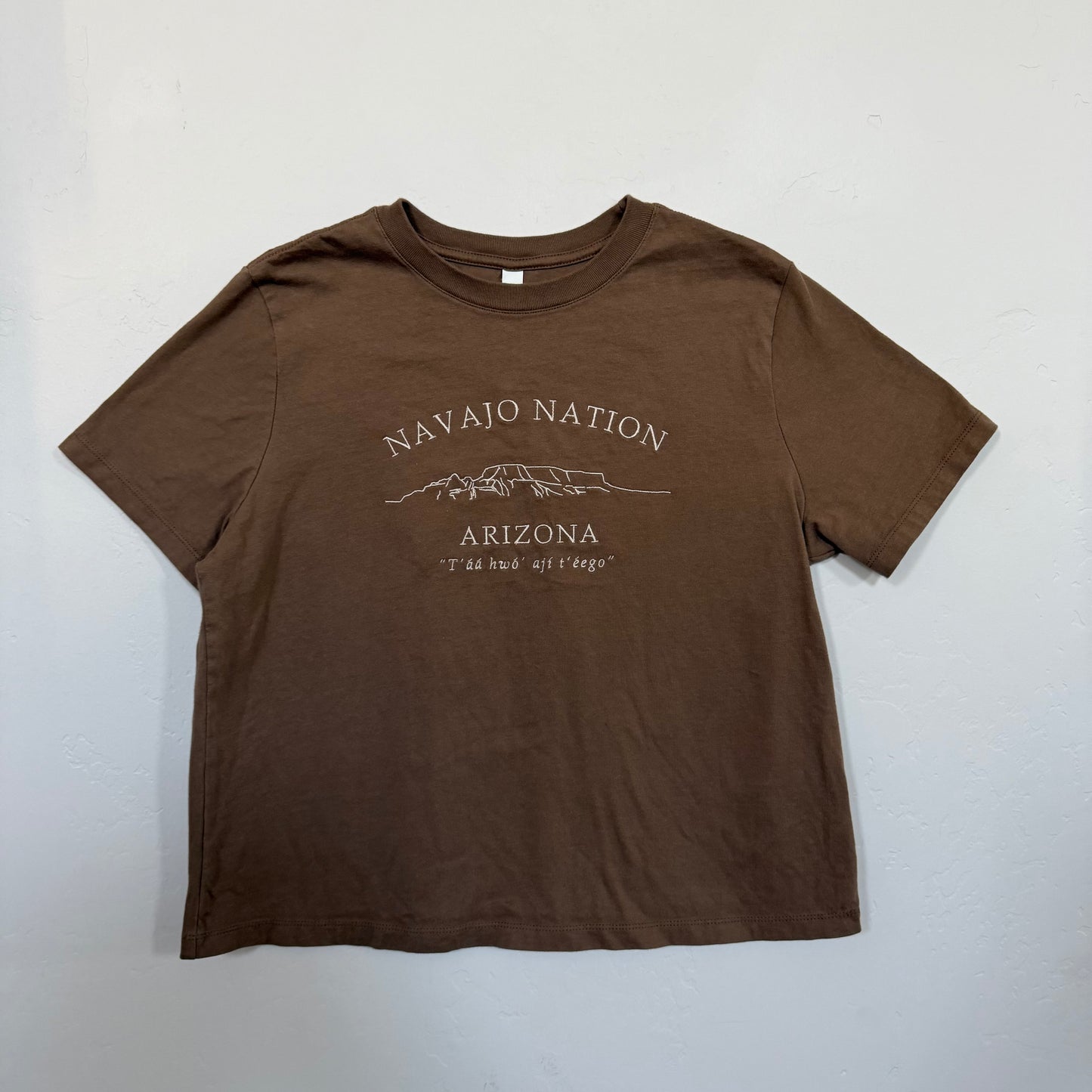 Navajo Nation Boxy Tee - Limited