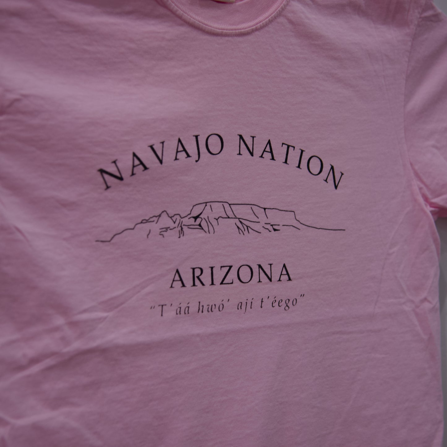 Navajo Nation Unisex T-Shirt